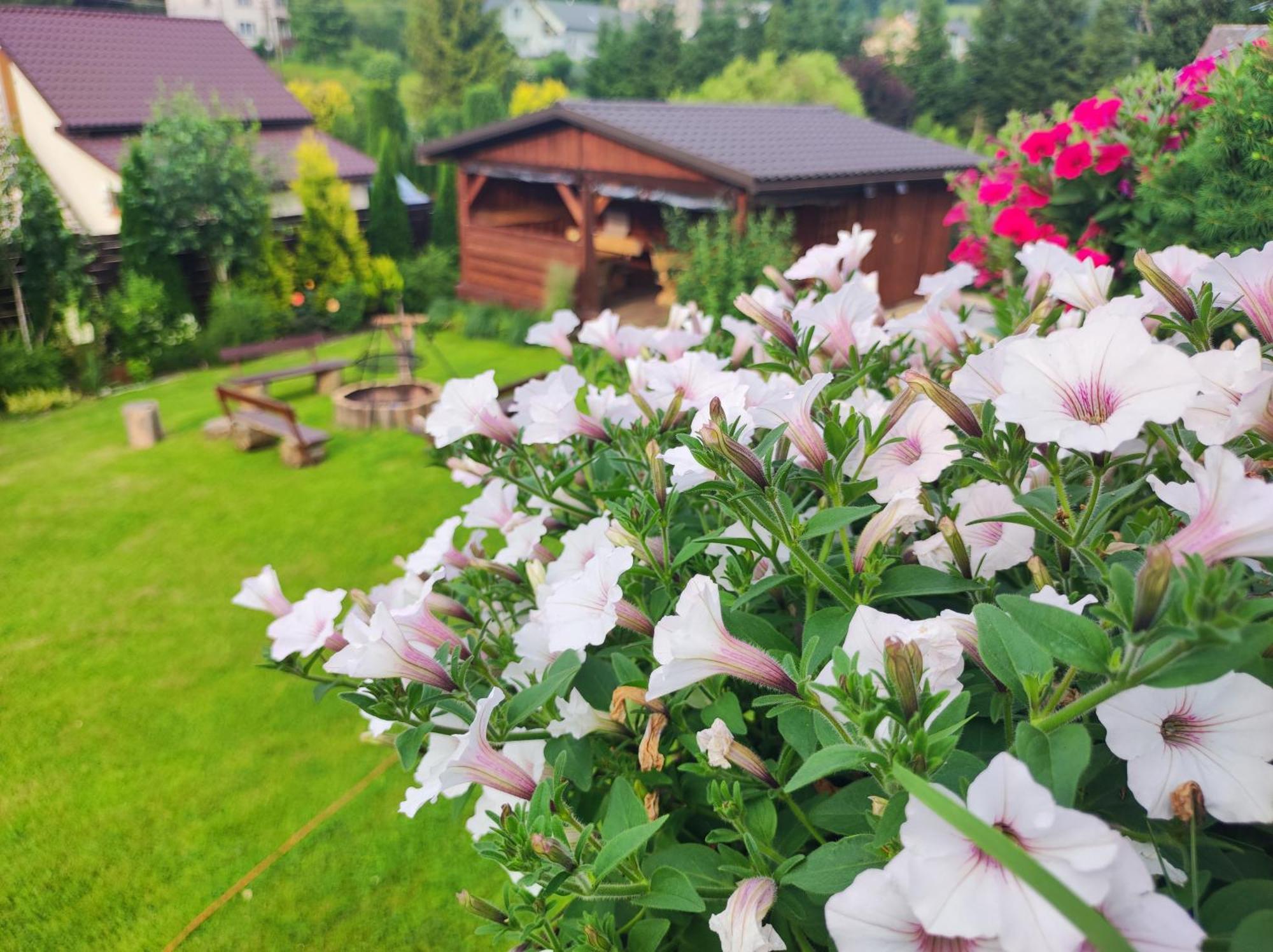 Vila Dom Kowala Jankowce Exteriér fotografie
