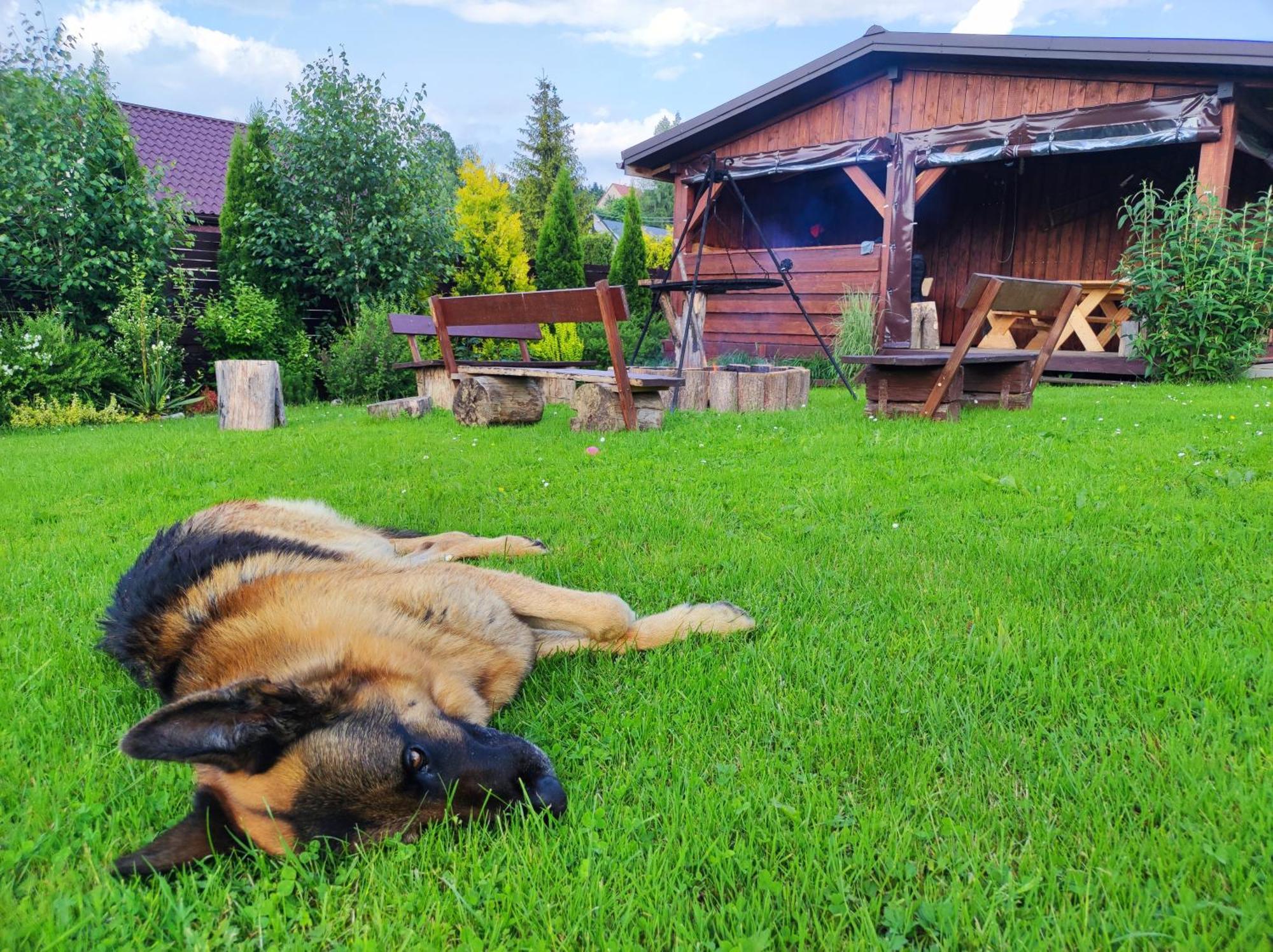 Vila Dom Kowala Jankowce Exteriér fotografie